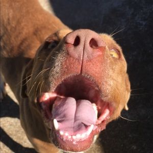 Meet your Posher, Christine